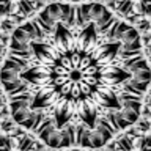 Meet your Posher, Lisette